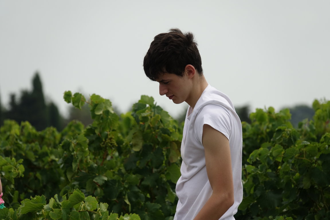 Isaac Vendanges 2017