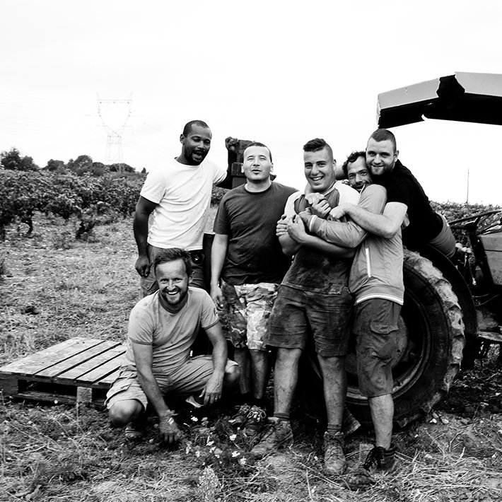 équipe des vendanges 2014 