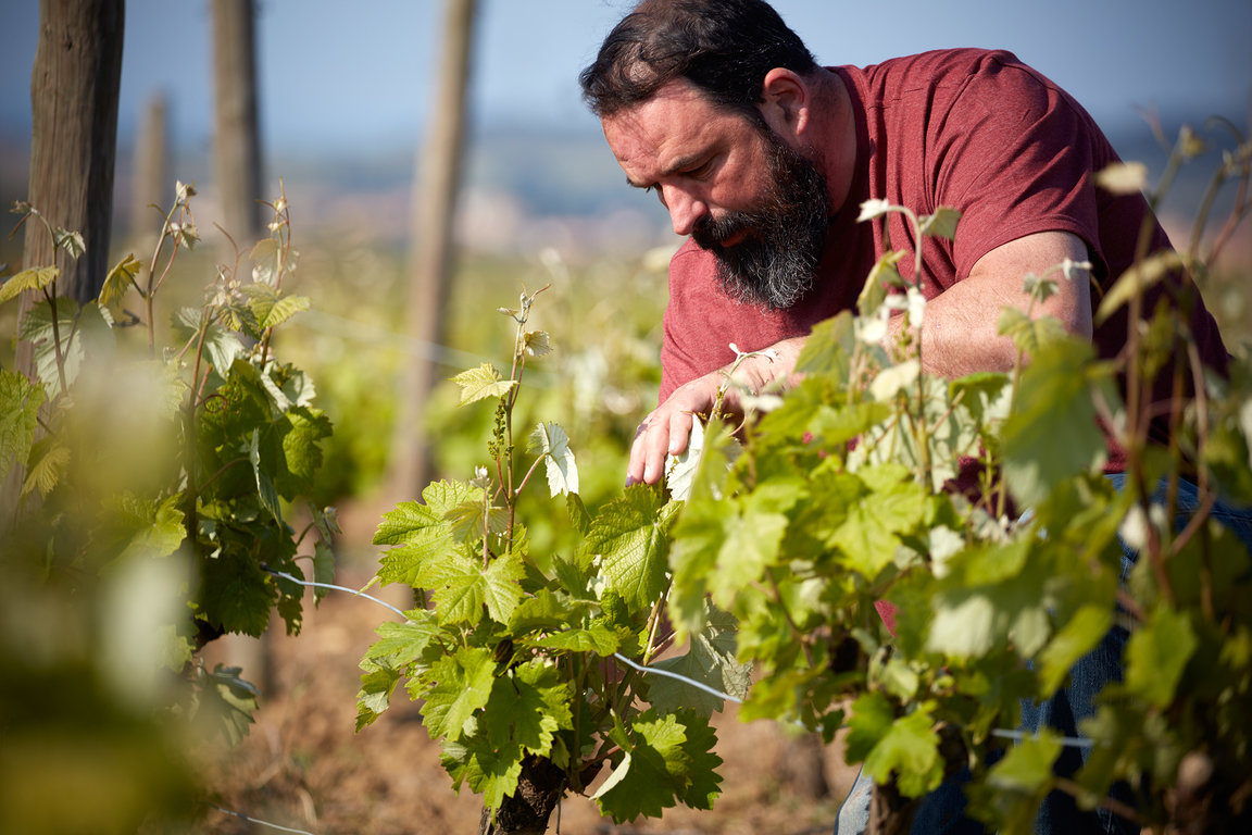 Jean Baptiste dans ses vignes de Villeneuve