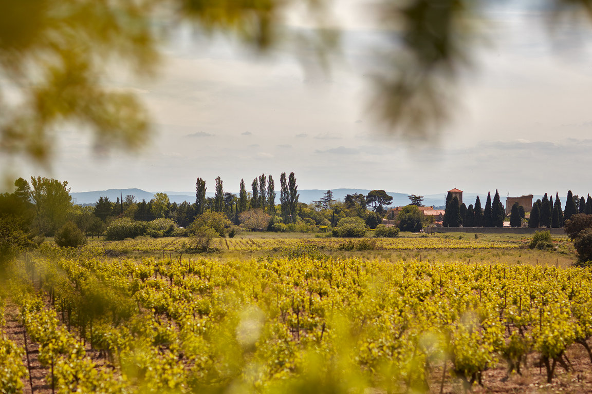 Vue sur Trausse Minervois au Printemps 