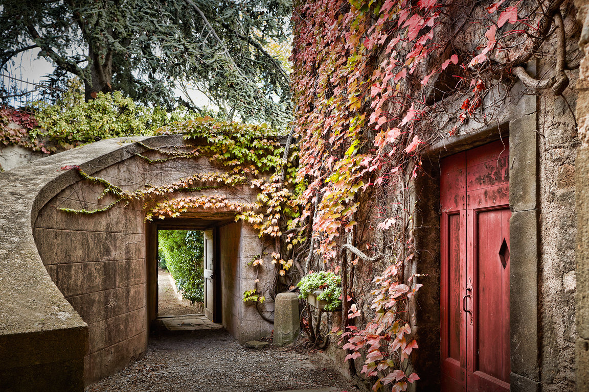 Couleurs d'Autome à la cave